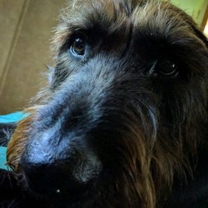 Meet your Posher, Patricia